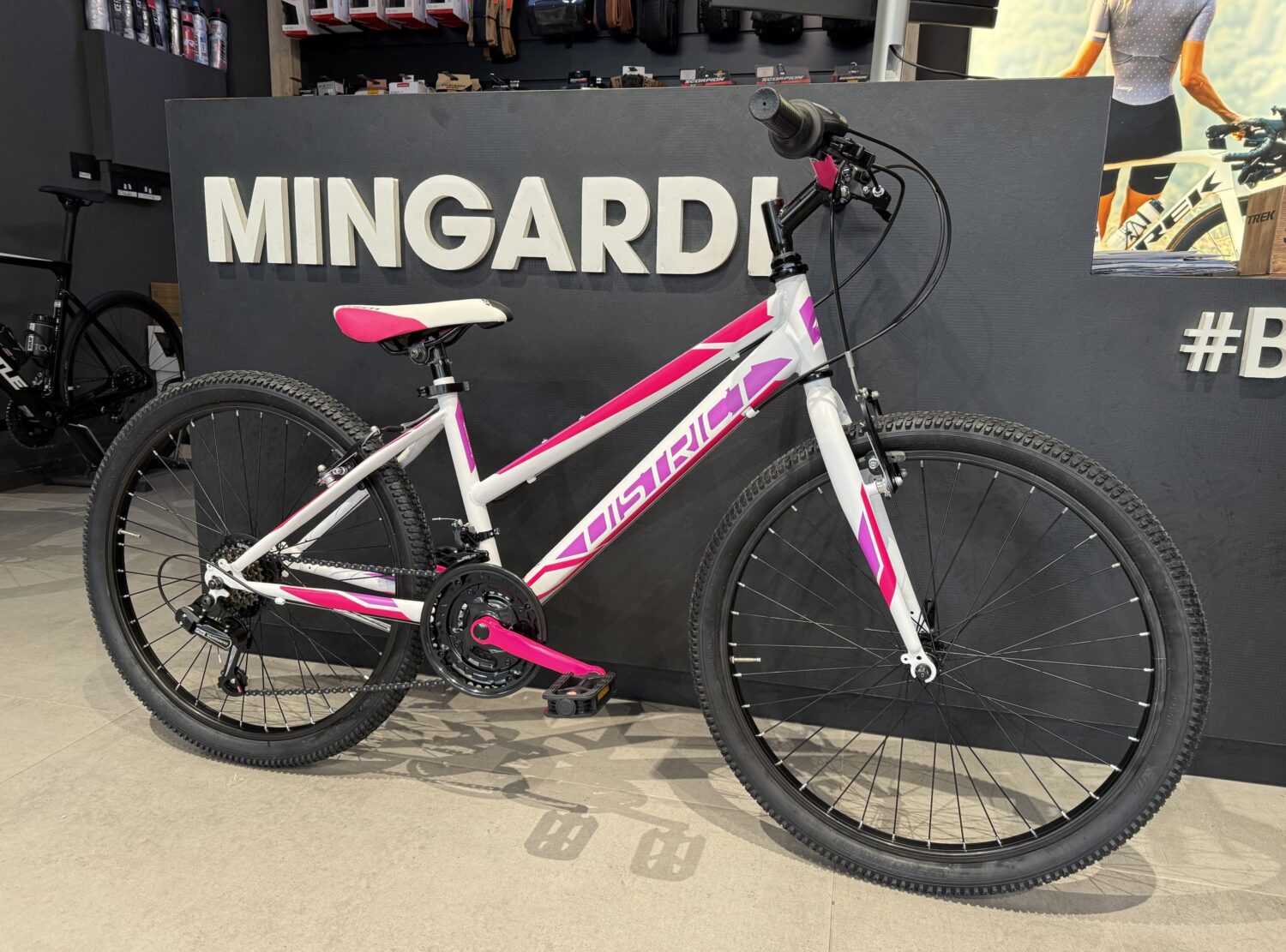 img_2244-2 img_2244-2