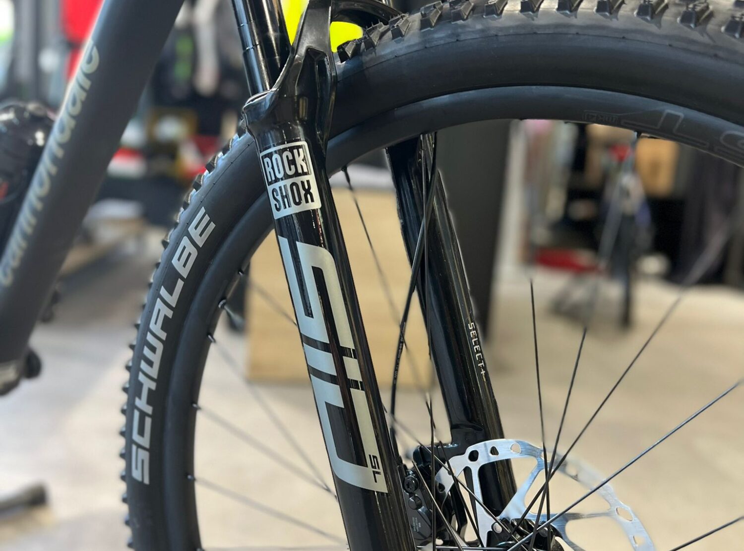 WhatsApp Image 2022-10-12 at 11.34.10 WhatsApp Image 2022-10-12 at 11.34.10