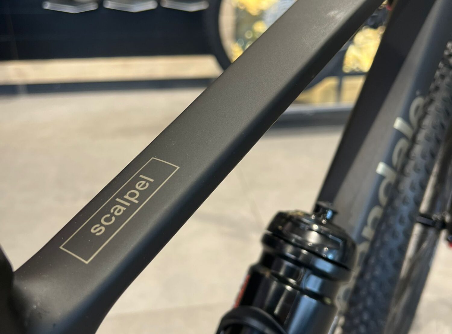 WhatsApp Image 2022-10-12 at 11.34.11 WhatsApp Image 2022-10-12 at 11.34.11