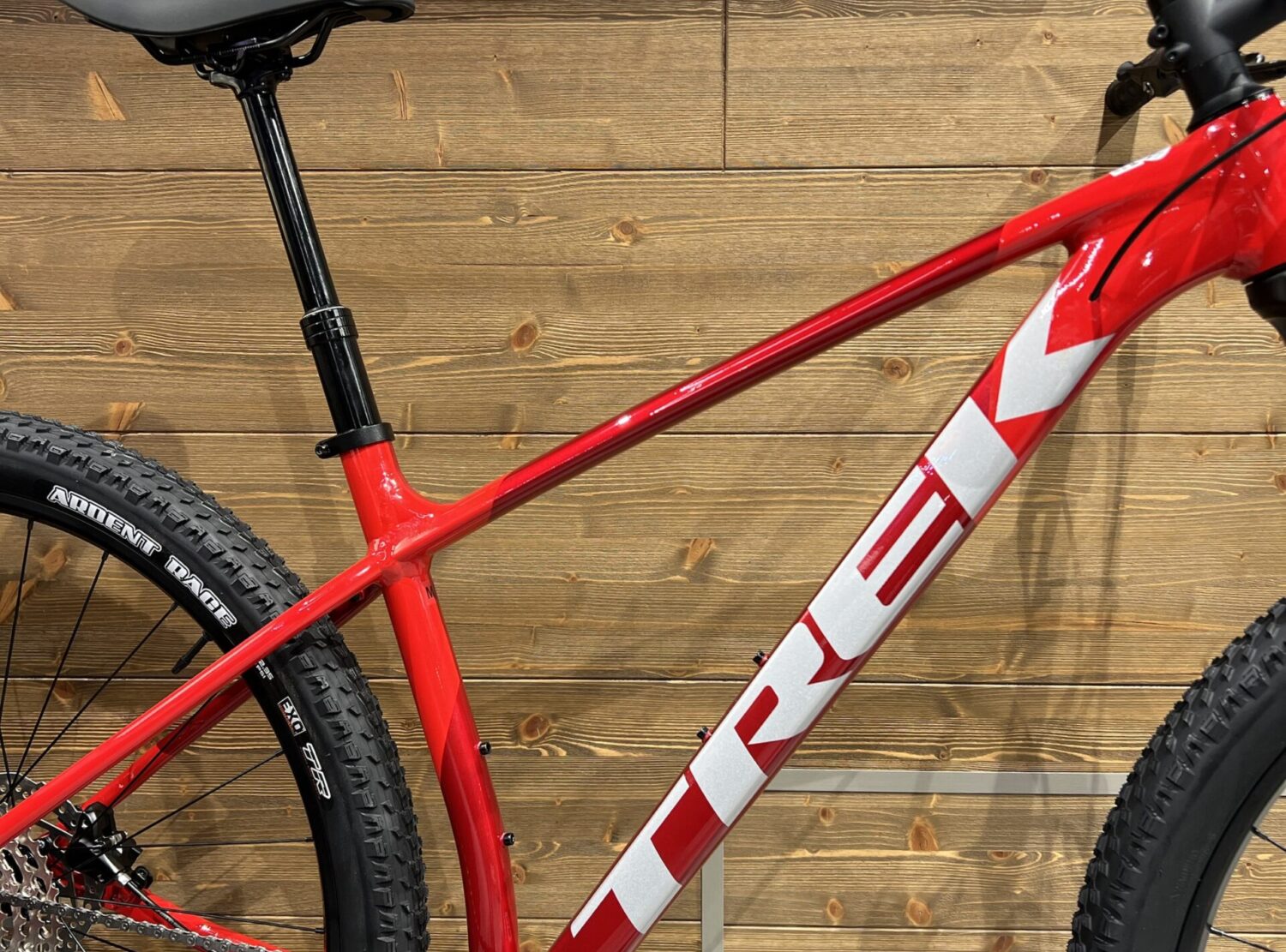 img_4767-2-1 img_4767-2-1