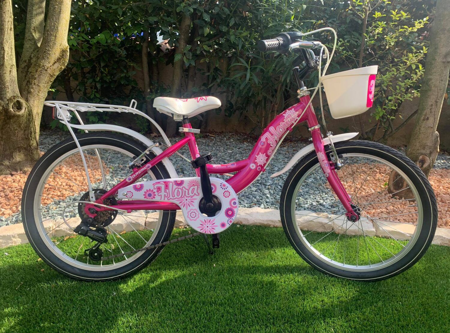 WhatsApp Image 2026-04-01 at 16.21.45